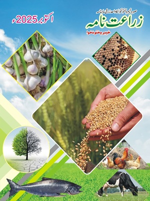 Zarat Nama October 2025